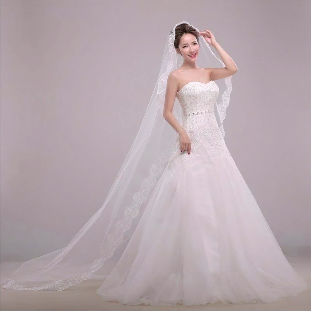 💕New Wedding Bride's Veil With Applique